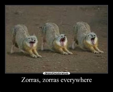 zorritas|zorritas Search